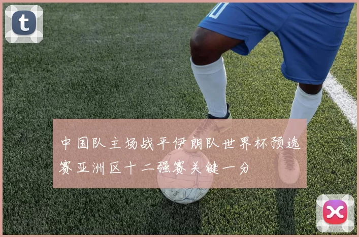 中国队主场战平伊朗队世界杯预选赛亚洲区十二强赛关键一分