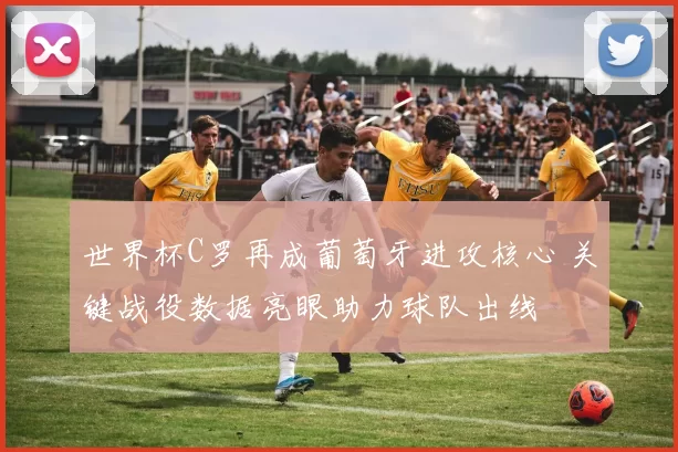 世界杯C罗再成葡萄牙进攻核心 关键战役数据亮眼助力球队出线