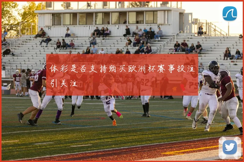 体彩是否支持购买欧洲杯赛事投注引关注
