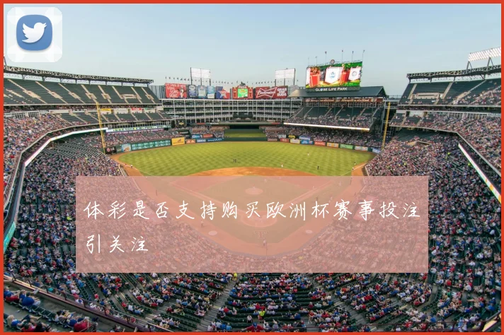 体彩是否支持购买欧洲杯赛事投注引关注