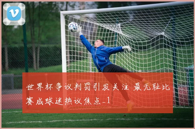 世界杯争议判罚引发关注 最无耻比赛成球迷热议焦点_1